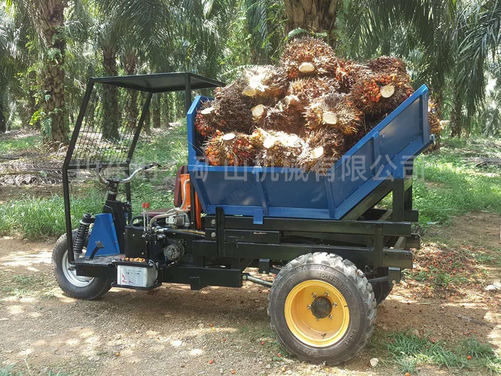 棕榈果运输专用柴油三轮车